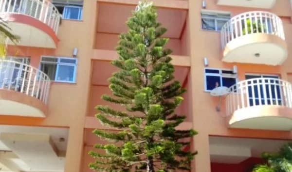 Foto de APARTAMENTO - 2 QUARTOS - RIO DE JANEIRO - OCUPADO
