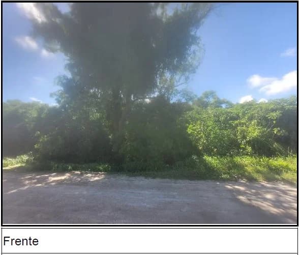 Terreno - Pelotas - Ocupado — foto 3