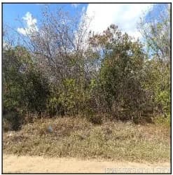 Terreno - Jaiba - Ocupado — foto 2
