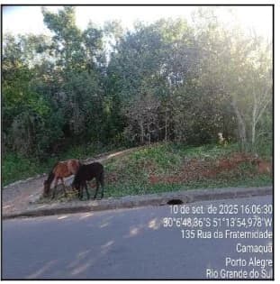 Terreno - Porto Alegre - Desocupado — foto 2