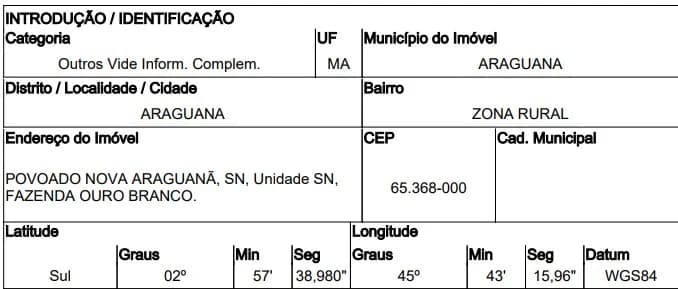 Imóvel Rural - Araguana - Ocupado — foto 3