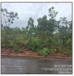 Terreno - Caldas Novas - Desocupado — foto 2