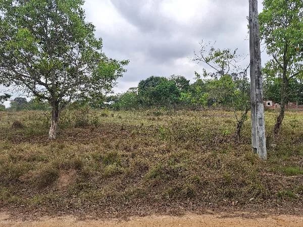 Terreno - Itaborai - Ocupado — foto 2