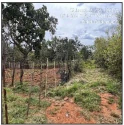 Terreno - Cidade Ocidental - Desocupado — foto 2
