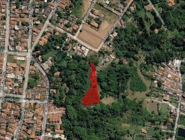 Terreno - Goias - Desocupado — foto 2