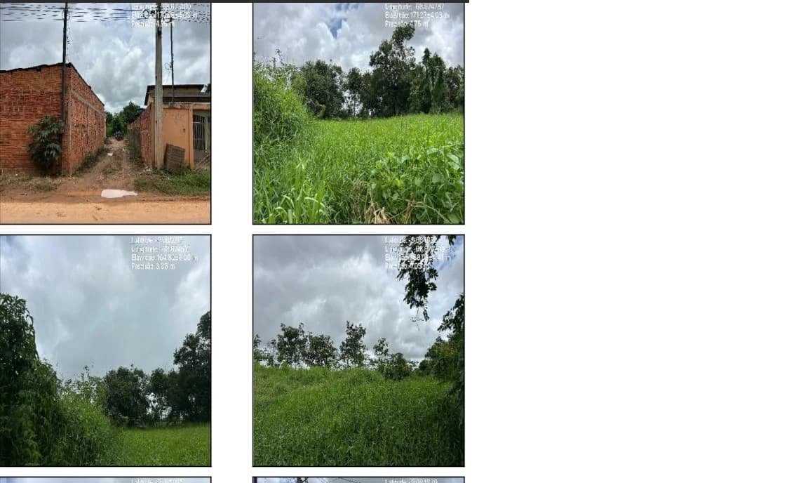 Terreno - Sena Madureira - Ocupado — foto 4