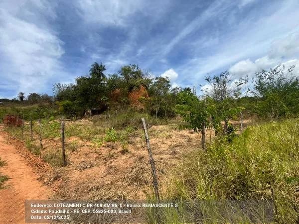 Terreno - Paudalho - Não Informado. — foto 2