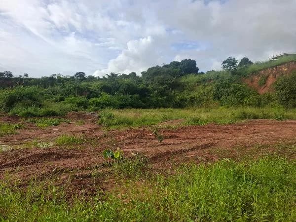Terreno - Paudalho - Ocupado — foto 2