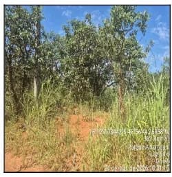 Terreno - Luziania - Ocupado — foto 2