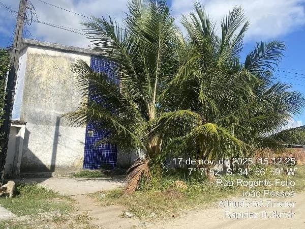 Apartamento - 2 Quartos - Santa Rita - Ocupado — foto 2