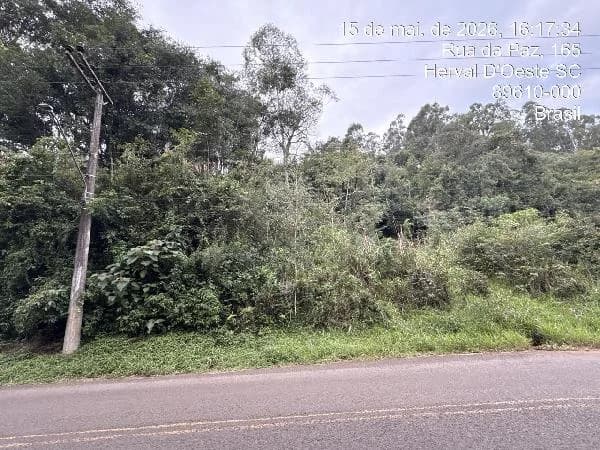 Terreno - Herval D'oeste - Ocupado — foto 2