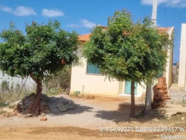 Casa - 2 Quartos - Salgueiro - Ocupado — foto 2