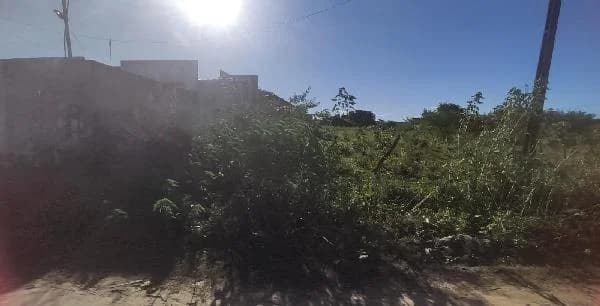 Terreno - Nossa Senhora do Socorro - Desocupado — foto 2