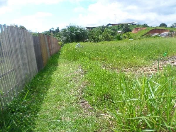 Terreno - Cruzeiro do Sul - Desocupado — foto 2