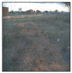 Terreno - Jatauba - Ocupado — foto 2
