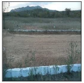Terreno - Jatauba - Ocupado — foto 2