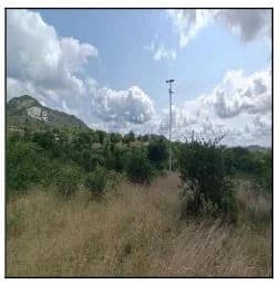 Terreno - Caruaru - Desocupado — foto 2