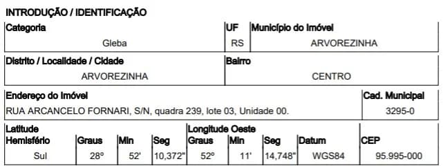 Gleba Urbana - Arvorezinha - Desocupado — foto 3