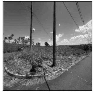 Loja - Brasilia - Ocupado — foto 2