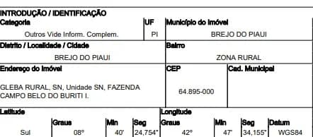 Imóvel Rural - Canto do Buriti - Desocupado — foto 3