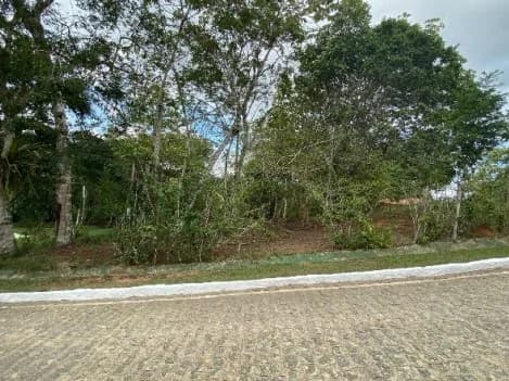 Terreno - Alianca - Desocupado — foto 2