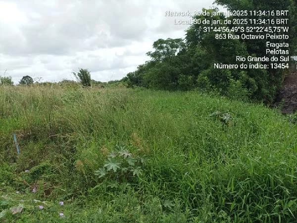 Terreno - Pelotas - Ocupado — foto 2