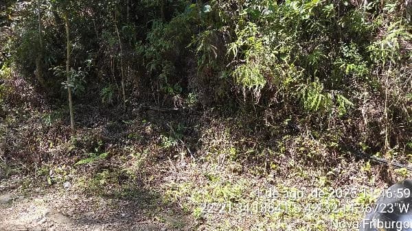 Terreno - Nova Friburgo - Desocupado — foto 2