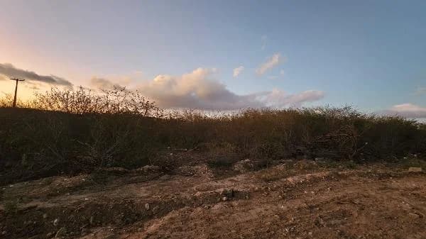 Terreno - Caruaru - Desocupado — foto 2