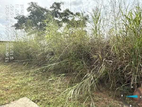Terreno - Brasilia - Ocupado — foto 2