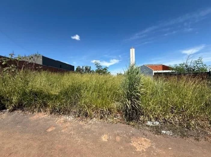 Terreno - Planaltina - Desocupado — foto 2