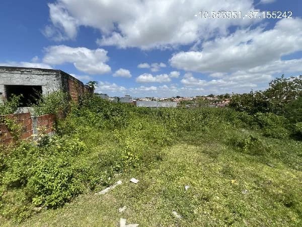 Terreno - Nossa Senhora do Socorro - Desocupado — foto 2