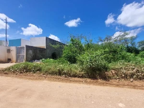 Terreno - Nossa Senhora do Socorro - Ocupado — foto 2