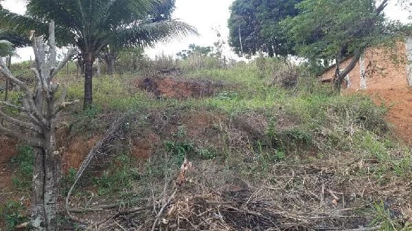 Terreno - Cariacica - Desocupado — foto 2