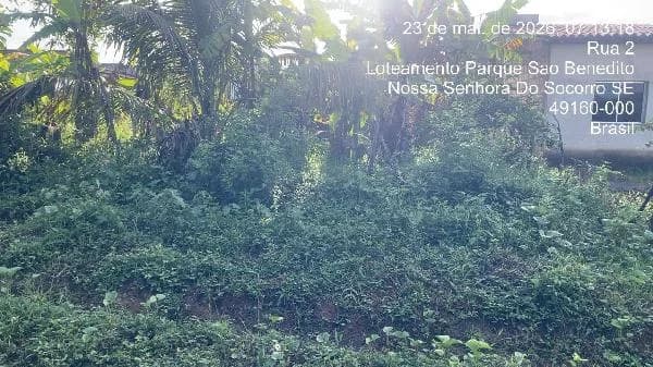 Terreno - Nossa Senhora do Socorro - Ocupado — foto 2