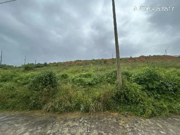 Terreno - Rio Largo - Desocupado — foto 2