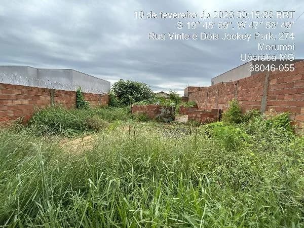 Terreno - Uberaba - Desocupado — foto 2
