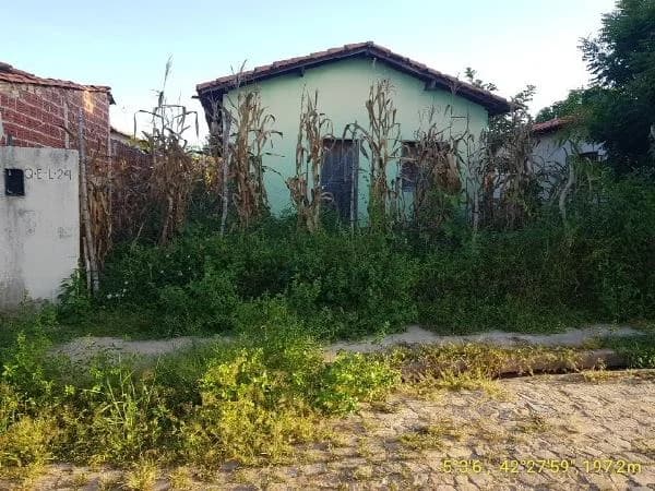 Casa - 2 Quartos - Altos - Desocupado — foto 2