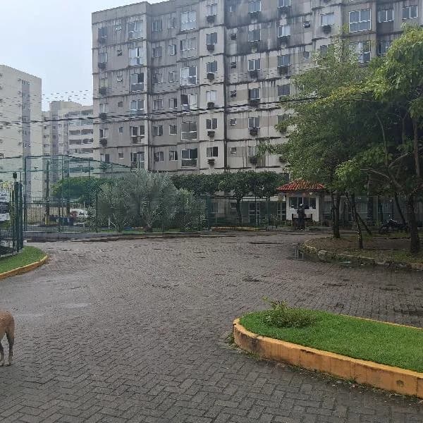 Apartamento - 2 Quartos - Jaboatao dos Guararapes - Ocupado — foto 2