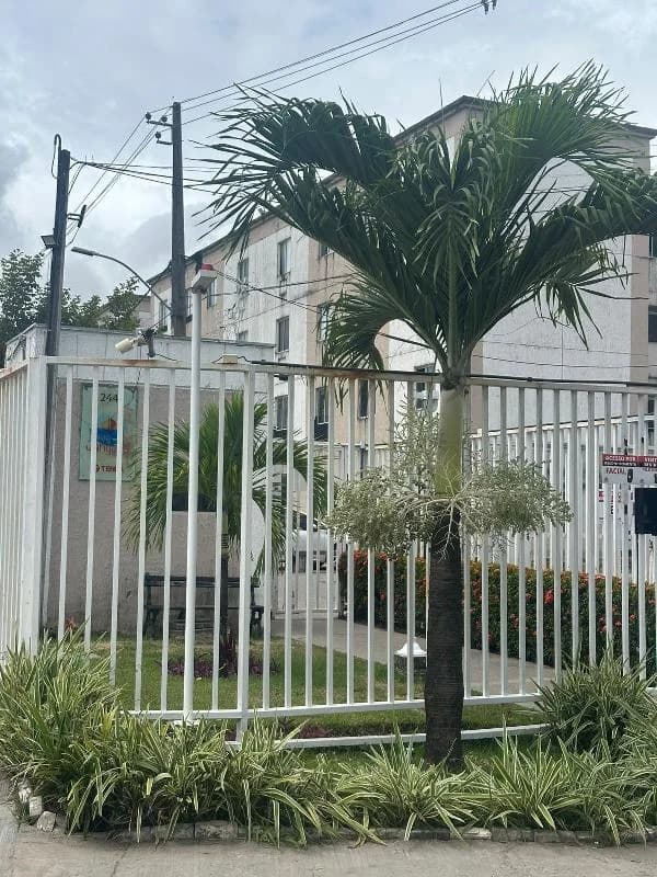 Apartamento - 1 Quartos - Jaboatao dos Guararapes - Ocupado — foto 2