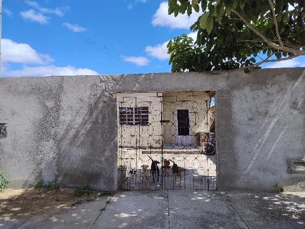Casa - 2 Quartos - Campina Grande - Ocupado — foto 2