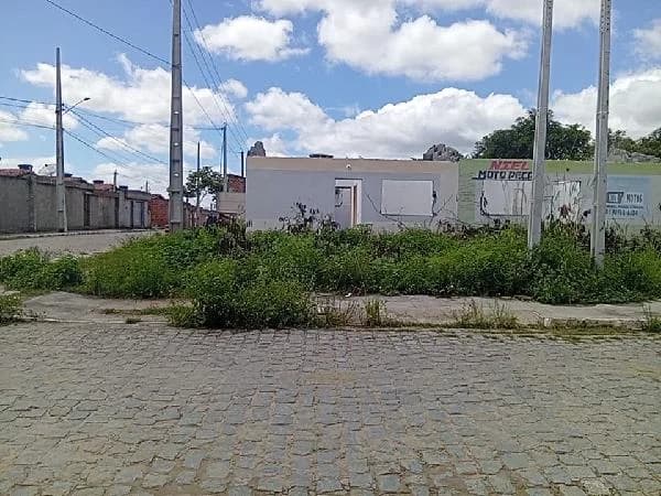 Casa - 2 Quartos - Belo Jardim - Desocupado — foto 2