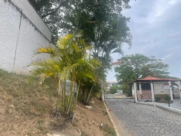 Apartamento - 2 Quartos - Sao Goncalo - Ocupado