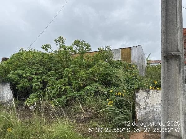 Casa - 2 Quartos - Ceara-mirim - Ocupado