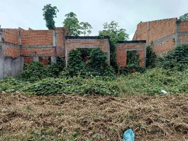 Terreno - Maraba - Desocupado